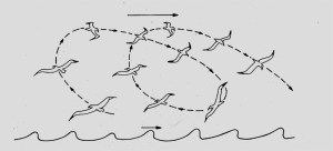 Cone Analysis SKetcvh.